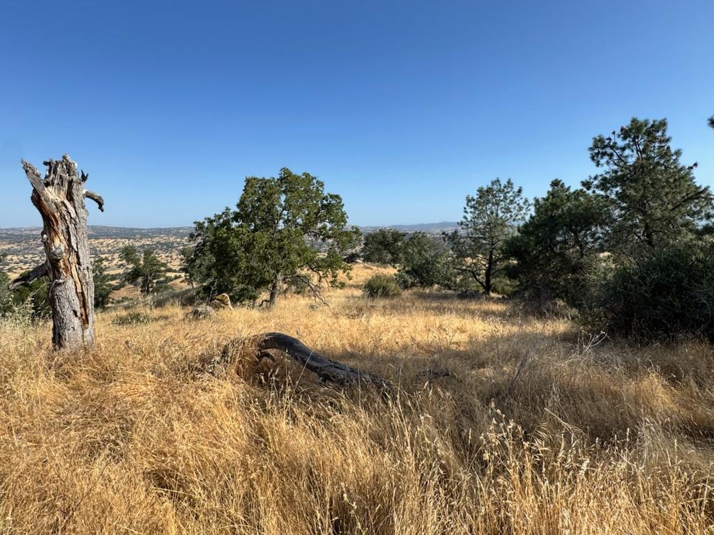 0 0 No Address, Friant, CA 93626